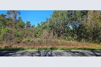 Timberlane Road, Lake Wales, FL 33898 - Photo 3
