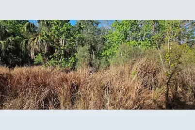 Timberlane Road, Lake Wales, FL 33898 - Photo 5