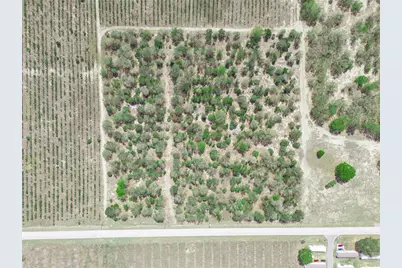 Friedlander Road, Babson Park, FL 33827 - Photo 15