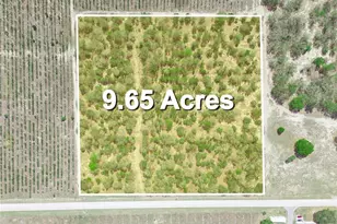 Friedlander Rd, Babson Park, FL 33827 - Photo 1