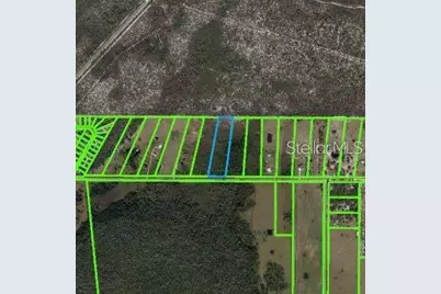 6070 E Arbuckle Road, Avon Park, FL 33825 - Photo 3