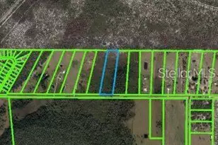 6070 E Arbuckle Rd, Avon Park, FL 33825 - Photo 3