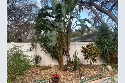 1603 Sir Henrys Trail, Lakeland, FL 33809 - Photo 53