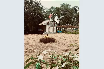 15300 Lake Iola Road, Dade City, FL 33523 - Photo 9