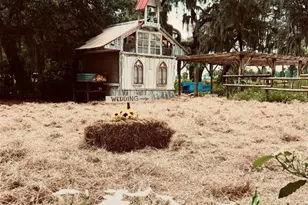 15300 Lake Iola Rd, Dade City, FL 33523 - Photo 27