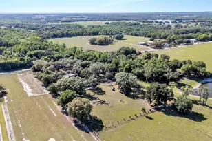 15300 Lake Iola Rd, Dade City, FL 33523 - Photo 3