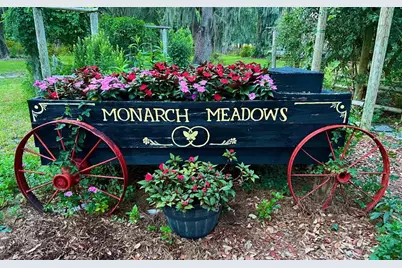 15300 Lake Iola Road, Dade City, FL 33523 - Photo 11