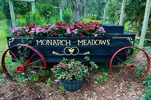 15300 Lake Iola Rd, Dade City, FL 33523 - Photo 11