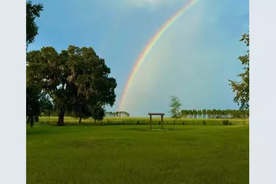 15300 Lake Iola Road, Dade City, FL 33523 - Photo 23