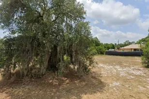 3201 Marlin Dr, Sebring, FL 33870 - Photo 1