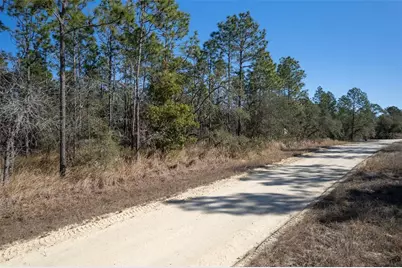 Undetermined Terrace, Dunnellon, FL 34432 - Photo 9