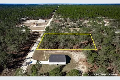 Undetermined Terrace, Dunnellon, FL 34432 - Photo 3