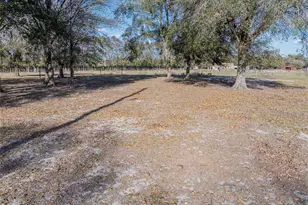 570 Old Bartow Lake Wales Rd, Bartow, FL 33830 - Photo 7