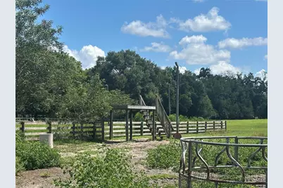 10553 NE 36th Avenue, Anthony, FL 32617 - Photo 5