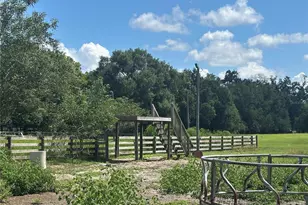 10553 NE 36th Ave, Anthony, FL 32617 - Photo 5