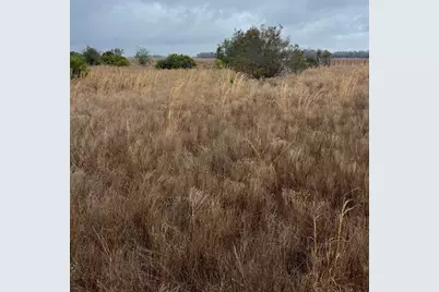 1137 Hopkins Lane, Zolfo Springs, FL 33890 - Photo 3