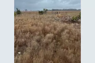 1137 Hopkins Lane, Zolfo Springs, FL 33890 - Photo 1