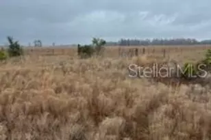 1137 Hopkins Ln, Zolfo Springs, FL 33890 - Photo 1