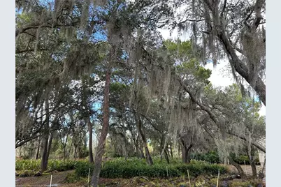 9210 County Road 635, Sebring, FL 33875 - Photo 9