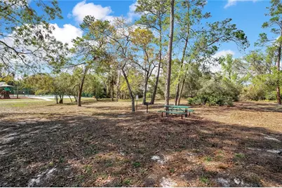 8431 Delaware Drive, Weeki Wachee, FL 34607 - Photo 45