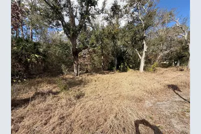 3500 Sebring Parkway, Sebring, FL 33870 - Photo 7