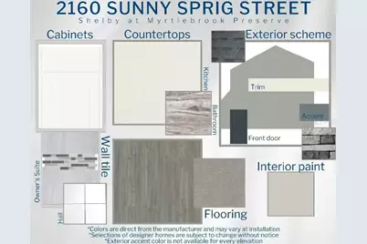 2160 Sunny Sprig Street, Lakeland, FL 33810 - Photo 3