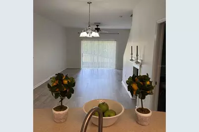 4194 Winding Vine Drive, Lakeland, FL 33812 - Photo 3