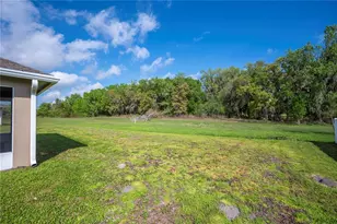 1882 Creeks Vista Blvd, Lakeland, FL 33810 - Photo 33