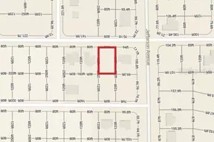 102 Buccaneer St NW, Lake Placid, FL 33852 - Photo 5