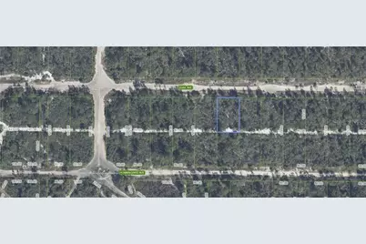 637 Quail Avenue, Sebring, FL 33872 - Photo 3