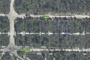 637 Quail Ave, Sebring, FL 33872 - Photo 3