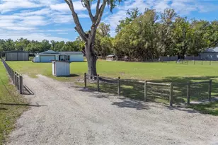 4407 Bugg Rd, Plant City, FL 33567 - Photo 3