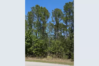 510 Hidden Palms Drive, Davenport, FL 33897 - Photo 3