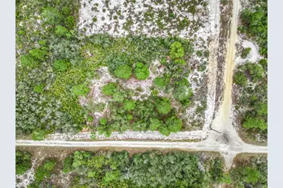 143 Patton Avenue, Lake Placid, FL 33852 - Photo 11