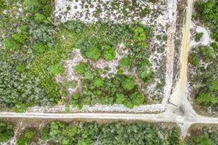 143 Patton Ave, Lake Placid, FL 33852 - Photo 11