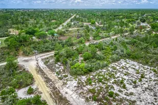 143 Patton Ave, Lake Placid, FL 33852 - Photo 7