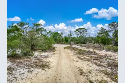 143 Patton Avenue, Lake Placid, FL 33852 - Photo 13