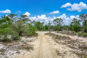 143 Patton Ave, Lake Placid, FL 33852 - Photo 13