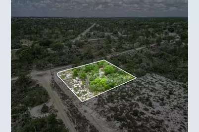 143 Patton Avenue, Lake Placid, FL 33852 - Photo 5