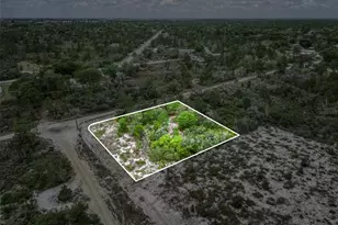 143 Patton Ave, Lake Placid, FL 33852 - Photo 5