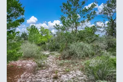 143 Patton Avenue, Lake Placid, FL 33852 - Photo 15