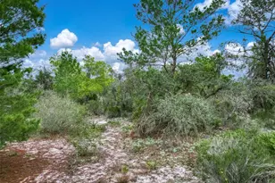 143 Patton Ave, Lake Placid, FL 33852 - Photo 15