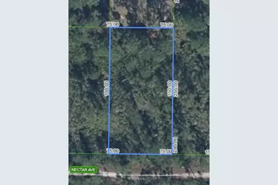 1702 Nectar Avenue, Sebring, FL 33875 - Photo 3