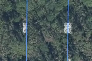 1702 Nectar Ave, Sebring, FL 33875 - Photo 3