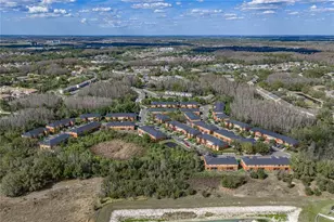 30131 Mossbank Dr, Wesley Chapel, FL 33543 - Photo 39