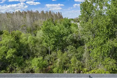 30131 Mossbank Drive, Wesley Chapel, FL 33543 - Photo 33