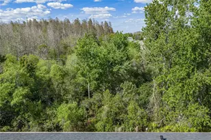 30131 Mossbank Dr, Wesley Chapel, FL 33543 - Photo 33