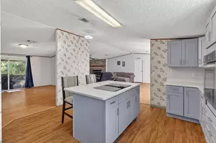 2916 Keene Country Ct, Plant City, FL 33565 - Photo 27