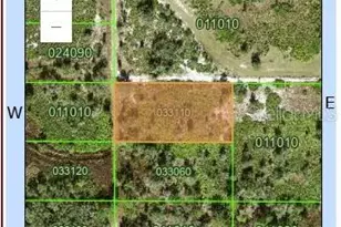 0 Hwy 60, Fort Meade, FL 33841 - Photo 1