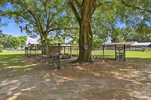 3943 W Campbell Rd, Lakeland, FL 33810 - Photo 97